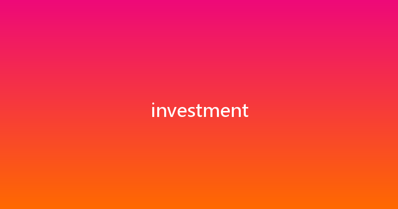 investment 